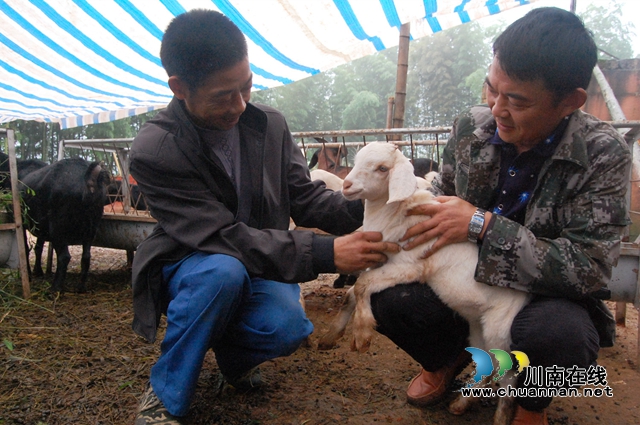易祖彬（右）指导村民养羊.JPG