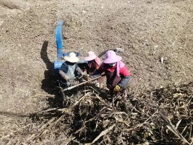 废秸秆怎么处理？泸州这个地方把它变成了有机肥
