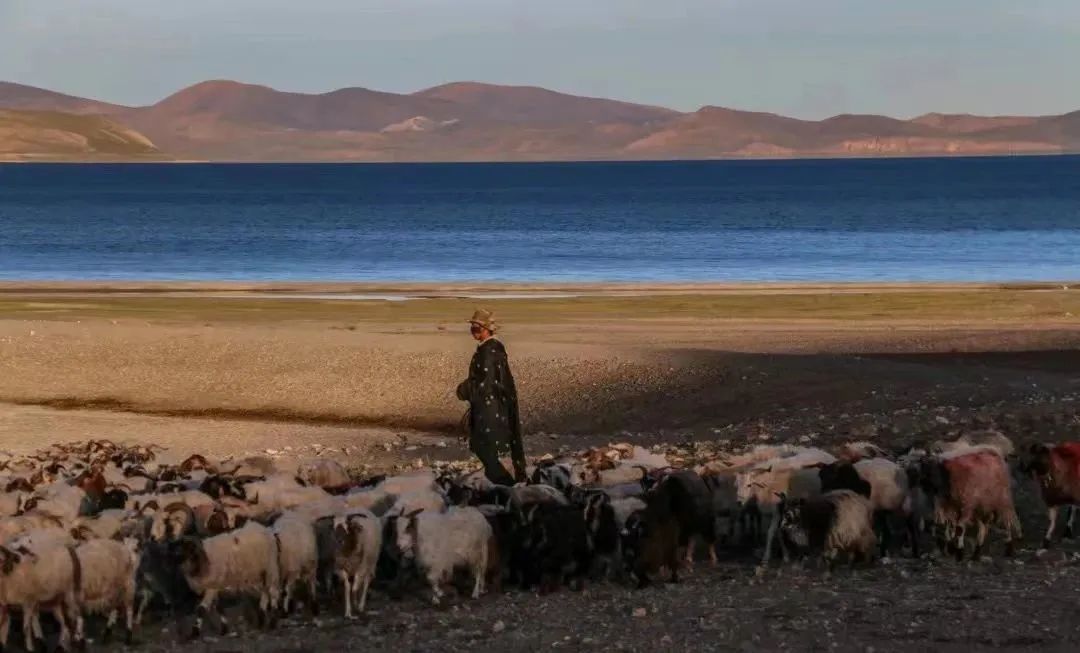 【航班快讯】12月5日起，泸州-兰州航班有序恢复！