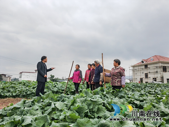 农技人员进行油菜病虫害防治培训（曾佐然摄）.jpg