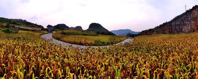 重磅发布丨古蔺,中国西部百强县!(图14) 百强14.jpg