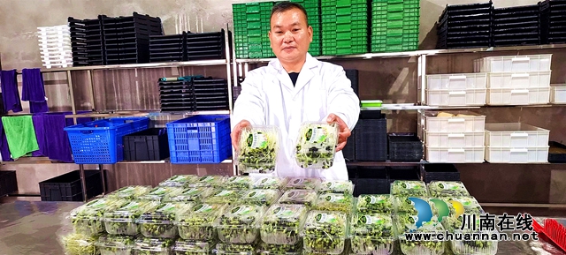 图2：盒装销售的芽苗菜.jpg