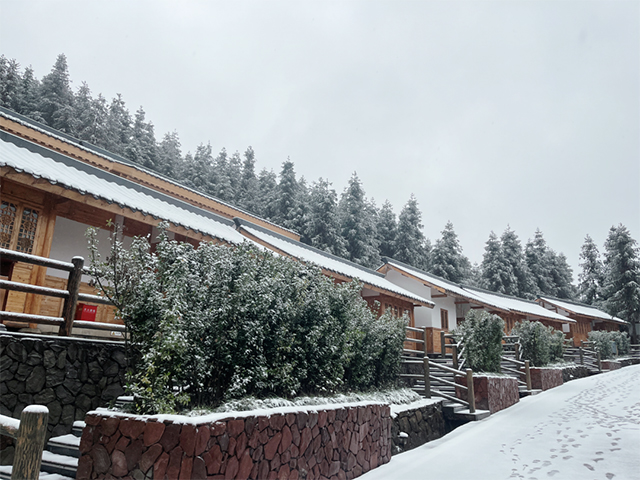 宜宾天宫山下雪图片