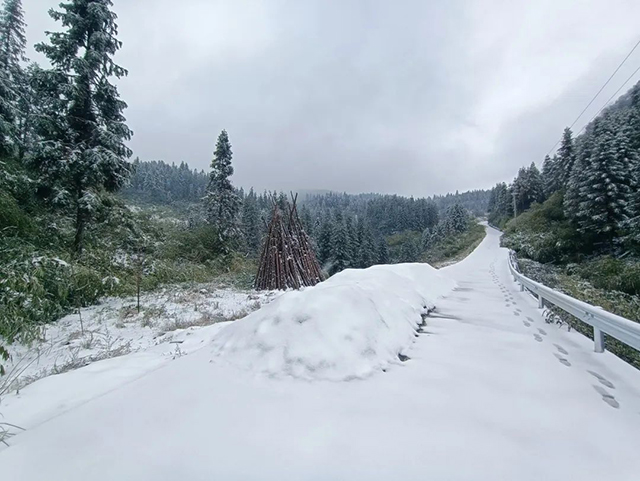 宜宾天宫山下雪图片