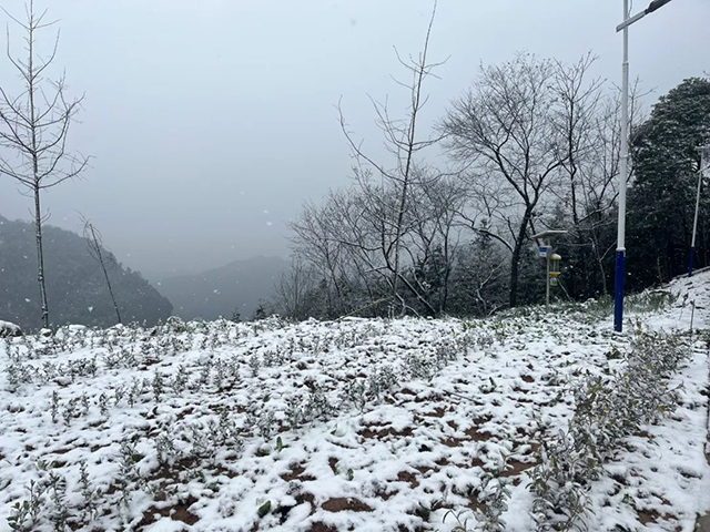 宜宾天宫山下雪图片