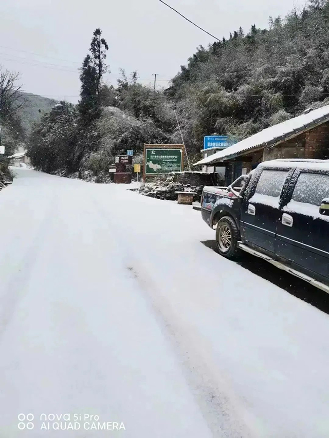 宜宾天宫山下雪图片