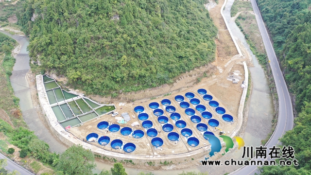 河屯村冷水鱼产业1.jpg