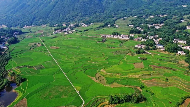 守牢耕地红线 护好沃土良田 | 泸州市自然资源和规划系统保护耕地纪实(图1) 土1.jpg