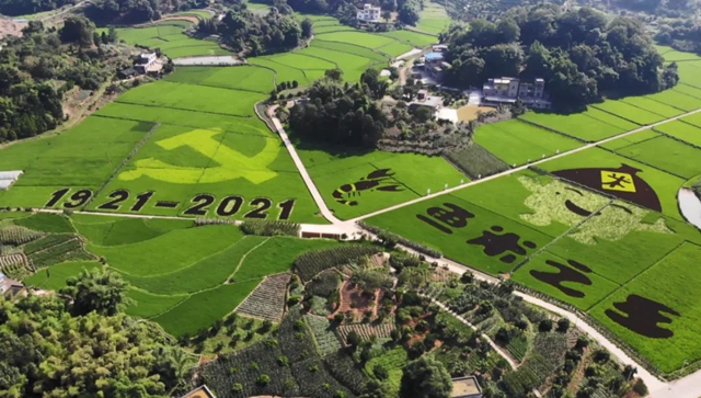 守牢耕地红线 护好沃土良田 | 泸州市自然资源和规划系统保护耕地纪实(图2) 土2.jpg