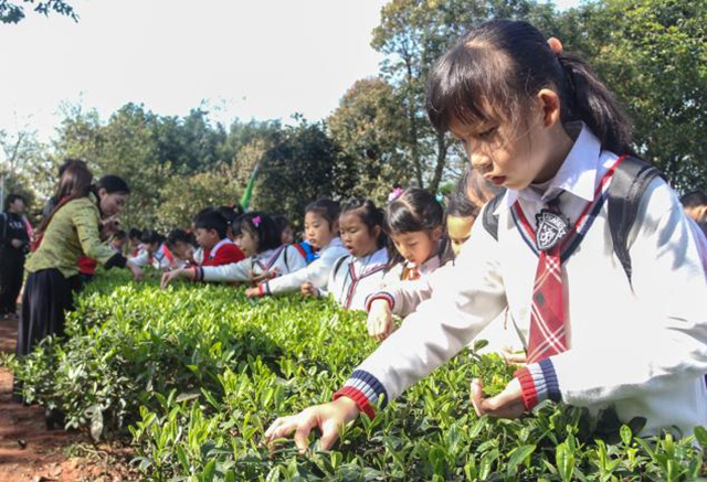 喜讯!宜宾非遗喜提年度优秀奖项(图4) 4.jpg