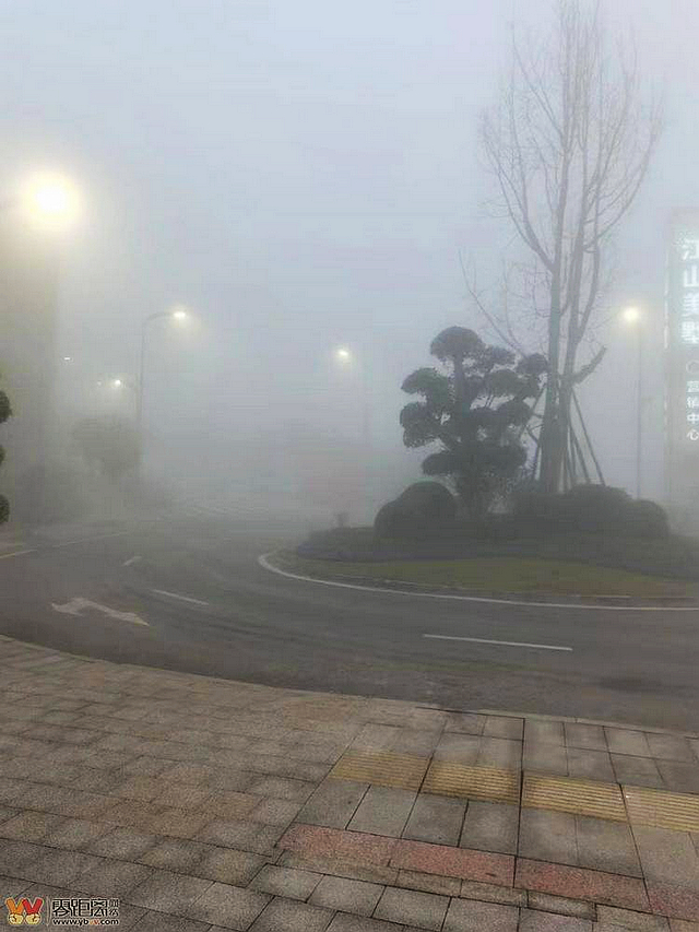 宜宾发布大雾橙色预警，境内这些高速入口关闭，解除时间待定