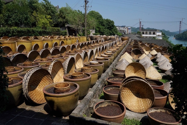 泸州文化转化利用八条措施来了！