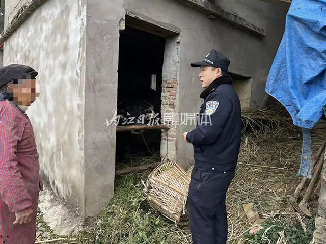 急！威远村民报警：“我养了十年的牛不见了！”……