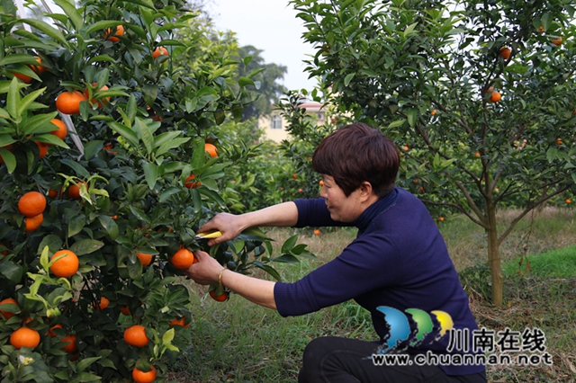 187A0193_副本.jpg