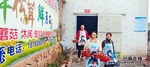 图2：石顺玉和游客展示仿野生赤松茸.jpg