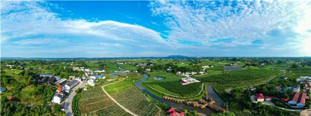 预告丨 “醉喜江阳年 春节天天乐”第十一站：通滩镇