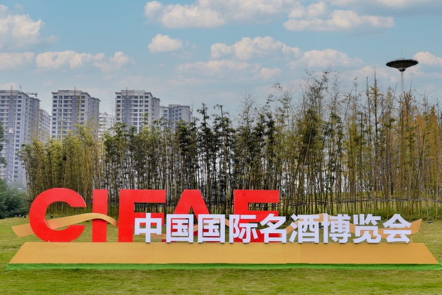 GDP全省第三!宜宾凭什么?(图21) 21.jpg