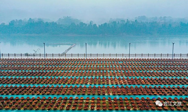 赤水河畔的先市 ,不止酱香(图4) 4.jpg