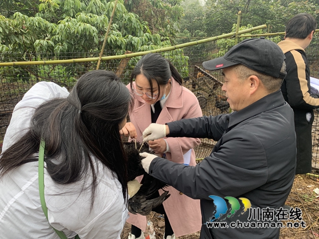 检查组在方山镇残疾人家中查看鸡苗生长情况.jpg