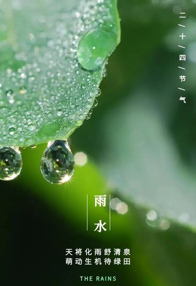 【提醒】雨水时节，要开始祛湿养胃了