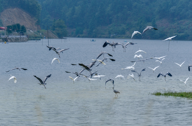 招商“最泸州”:川南海拔最高的湖(图3) 3.jpg