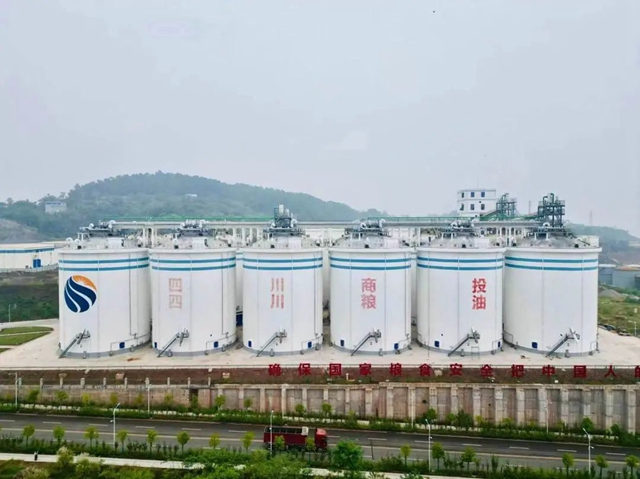 建国家粮食物流核心枢纽！泸州成为长江上游最大进口粮集散中心