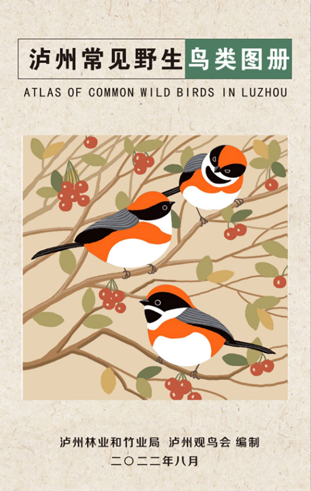 快来领取️→ 泸州野生鸟类知多少？500本百科全书免费送！