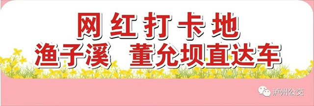 春有期,花不误!泸州公交载你赴会董允坝首届“醉美油菜花节”~(图3) 3.jpg