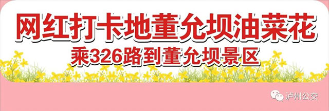 春有期,花不误!泸州公交载你赴会董允坝首届“醉美油菜花节”~(图5) 5.jpg