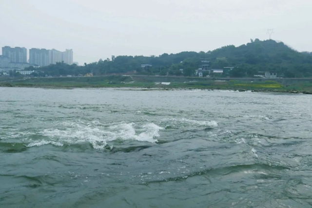 明确了！龙马潭这些地方垂钓违法