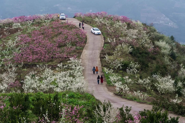 温泉、露营基地、滑翔伞基地.....泸州这条公路沿线将推出9个重点文旅产业项目