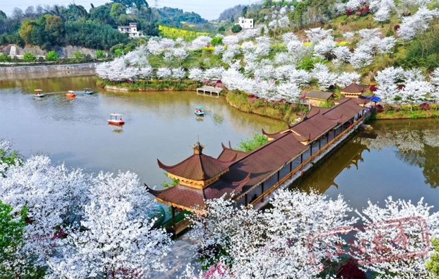 3月11日开幕!江阳区2023年踏青赏花季暨丹林花朝节来了(图2) 2.jpg