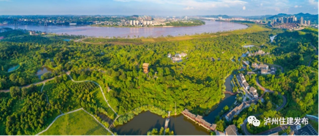 泸州55株古树名木，等您来认养！