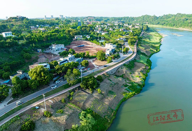 醉一场花开漫天 | 江阳区丹林花朝节启幕(图14) 14.jpg