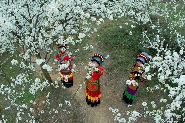 乌蒙花海&鸡鸣三省大峡谷旅游计划安排好了!(图11) 11.jpg