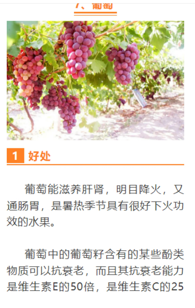 春雷行动2023┃古蔺县利用电子取证技术查获一起互联网广告案