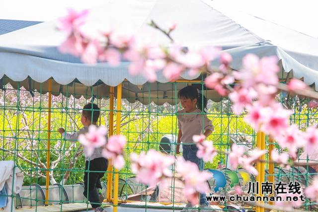 龙马潭:万树桃花开,丹彩灼春融(图6) 590A3360.jpg