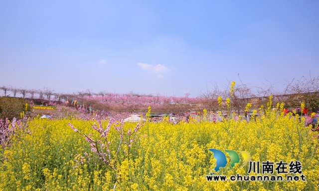 龙马潭:万树桃花开,丹彩灼春融(图8) 590A3388.jpg