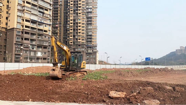 冬季也可赏花!江阳区将新增一个生态景观区(图2) 花2.jpg