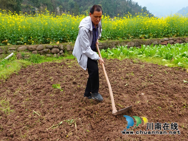 古蔺永乐:再生稻育苗正当时 农技专家指导忙(图4) 农4.jpg