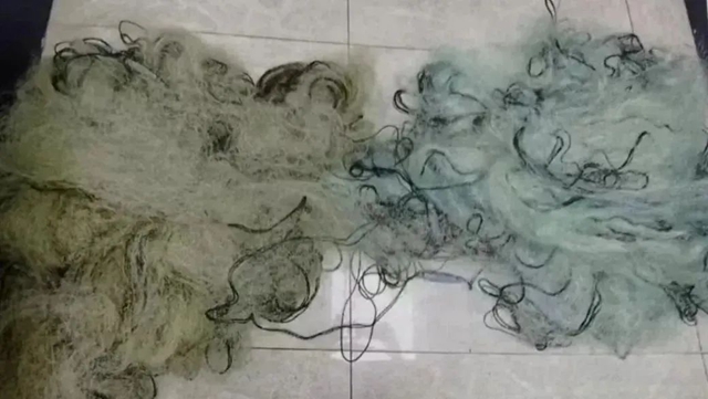 持司法利剑,护绿水青山|龙马潭区法院集中宣判六件环资刑事案(图3) 环3.jpg