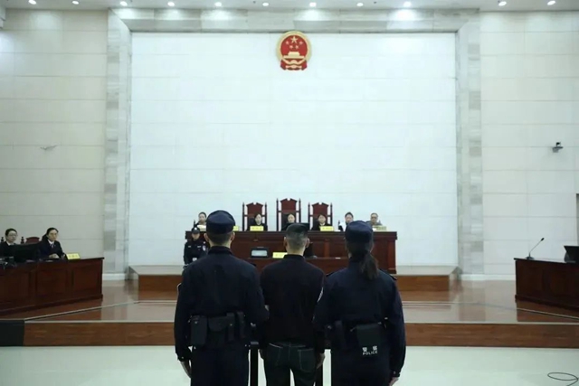 持司法利剑,护绿水青山|龙马潭区法院集中宣判六件环资刑事案(图5) 环5.jpg