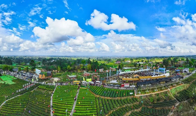 开幕！荣县第十四届茶旅风情季活动等你赴约