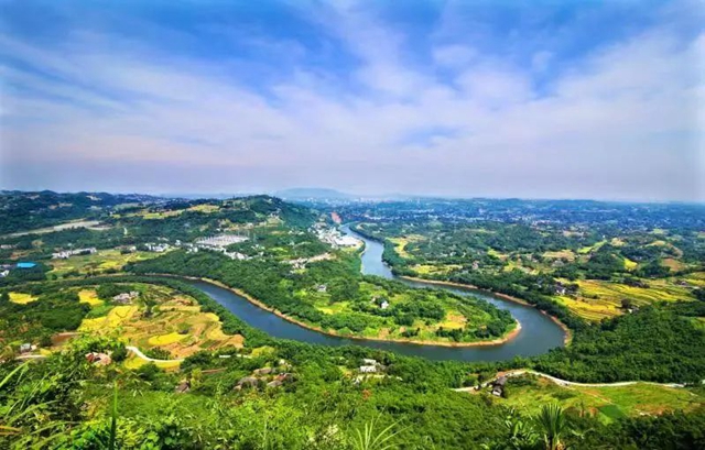 纳溪：茶园变景区，茶旅融合成就乡村振兴新传奇