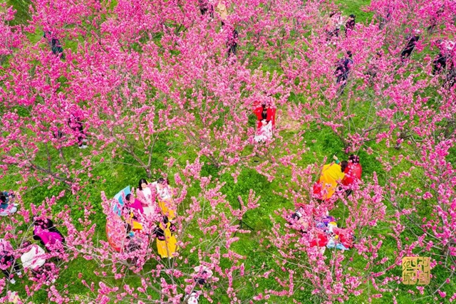 泸州“彩‘云’乡村”入选2022年度四川省文化产业发展项目库