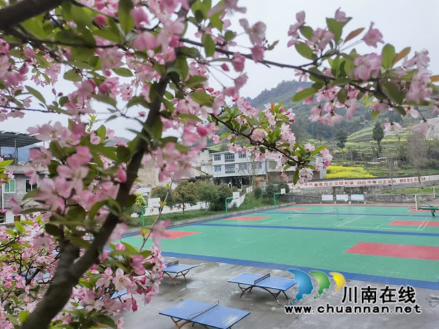 古蔺·春三月|春色三分已两分,海棠红软半梨云(图11) 11.jpg