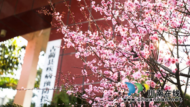 古蔺:春日暖阳里别样的小城(图16) 16.jpg