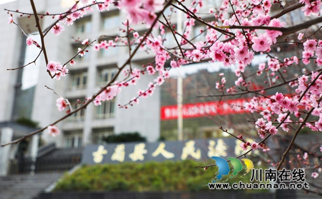 古蔺:春日暖阳里别样的小城(图15) 15.jpg