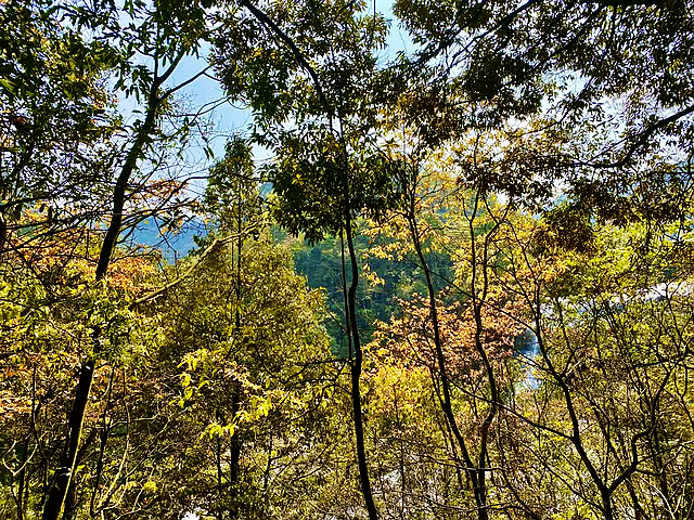 创建天府旅游名县|人间四月,春满黄荆!(图5) nEO_IMG_3.jpg