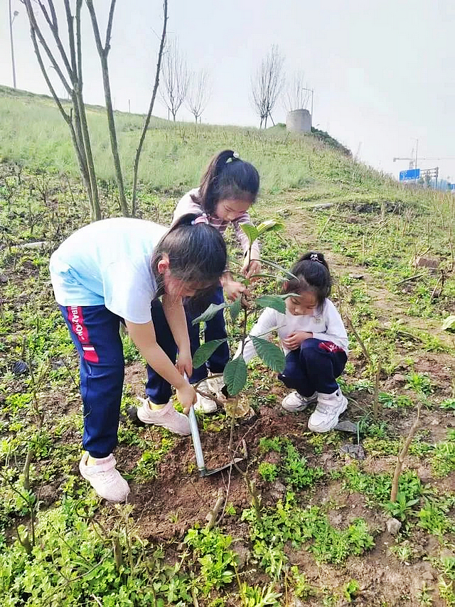 泸州十八中:学雷锋精神 做时代好少年(图8) nEO_IMG_9.jpg